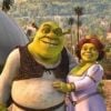 Dans Shrek 2, Fiona est enfin mariée à son amour, Shrek. Mais Charmant, prince rabat-joie, va tenter de semer la zizaine dans le couple