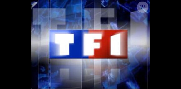 Laurent Storch, directeur général adjoint chargé des programmes à TF1, vient d'être destitué de ses fonctions sur la télé-réalité et les programmes de flux.