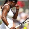 Le 27 juin 2011, Serena Williams a subi la loi de Marion Bartoli, victorieuse en deux sets dans leur huitième de finale à Wimbledon.