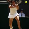 Le 27 juin 2011, Marion Bartoli a battu nettement la tenante du titre, Serena Williams, en huitième de finale à Wimbledon.