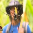 Une araignée dans Koh Lanta 11, vendredi 16 septembre 2011 sur TF1