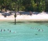 Une épreuve dans Koh Lanta 11, vendredi 16 septembre 2011 sur TF1