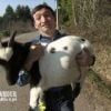 Jean-Michel et sa chèvre dans L'amour est dans le pré, saison 6 sur M6