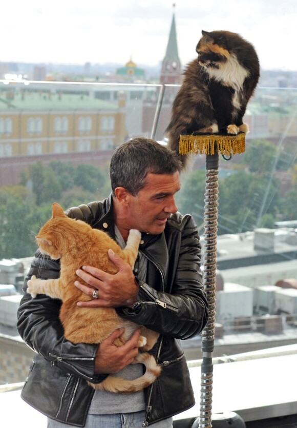 Antonio Banderas et des chats lors du photocall du Chat Potté en Russie le 26 septembre 2011. 