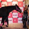 Florence Belkacem. Les trophées Epona 2011 ont eu lieu le week-end des 8 et 9 octobre à Cabourg, sous la présidence de Maxime Le Forestier, grand amoureux du cheval.