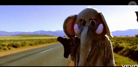 Coldplay trompe énormément dans le clip de Paradise, second extrait de Xylo Myloto : devant la caméra du complice Mat Whitecross, Chris Martin devient éléphant et lutte pour retrouver la savane. Excellent !