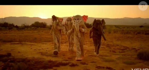 Coldplay trompe énormément dans le clip de Paradise, second extrait de Xylo Myloto : devant la caméra du complice Mat Whitecross, Chris Martin devient éléphant et lutte pour retrouver la savane. Excellent !