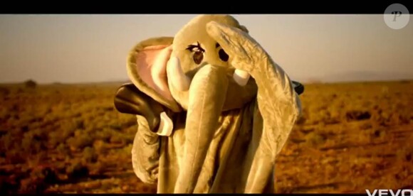 Coldplay trompe énormément dans le clip de Paradise, second extrait de Xylo Myloto : devant la caméra du complice Mat Whitecross, Chris Martin devient éléphant et lutte pour retrouver la savane. Excellent !