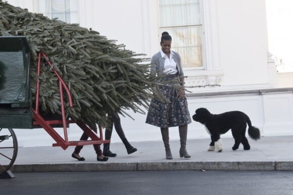 Michelle Obama accompagnée de Bo, a accueilli le sapin de Noël de la Maison Blanche le 25 novembre 2011 à Washington.