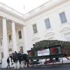 Arrivée du sapin de Noël qui décorera la Maison Blanche. Le 25 novembre 2011 