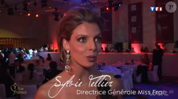 Sylvie Tellier lors de la soirée Miss France à Mexico City au Mexique en novembre 2011