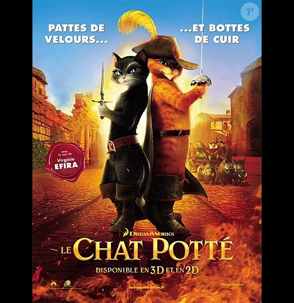 L'affiche du film Le Chat Potté