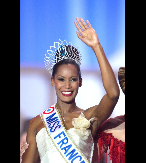 Corinne Coman, Miss France 2003