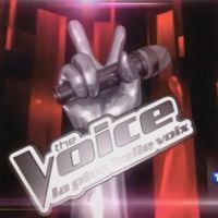 The Voice : Après Florent Pagny, une star internationale intègre le jury