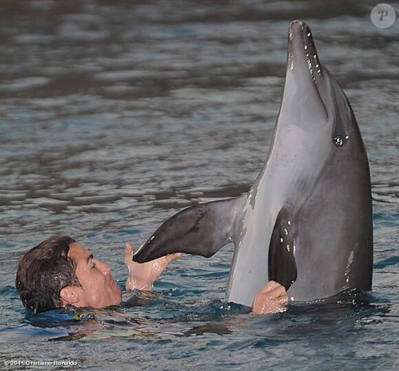 Cristiano Ronaldo on WhoSay, nage avec les dauphins lors de sa visite à Dubaï