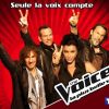 Les coachs de The Voice version française (TF1)