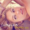 Shakira, album Sale el Sol (2010)