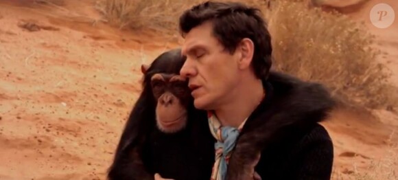 Image extraite du nouveau clip de Marc Lavoine, Je descends du singe, disponible téléchargement légal le 4 juin 2012.