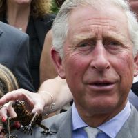 Le prince Charles en classe verte : Copinage avec une grenouille et bain de boue