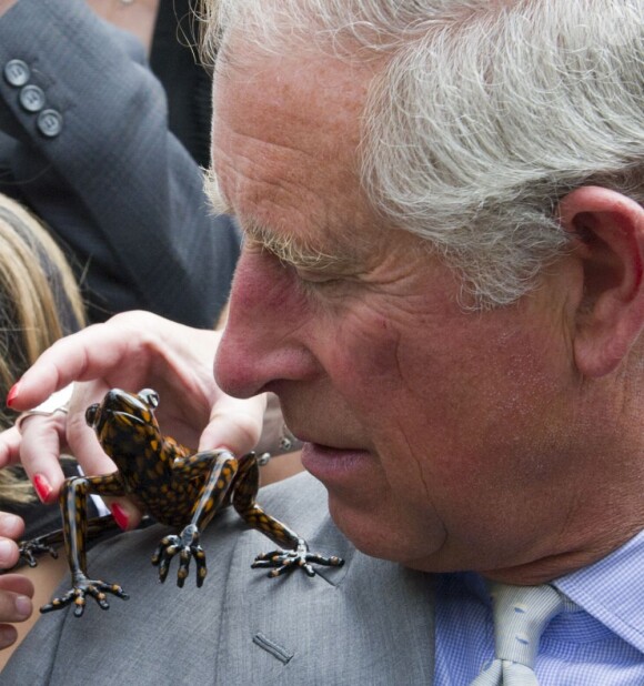 Le prince Charles a fait la connaissance de la grenouille d'Equateur qui porte son nom lors d'un événement (Green Ambassadors Summit) en faveur de l'environnement, organisé le 5 juillet 2012 dans sa ferme biologique d'Highgrove sous l'égide de la WWF.