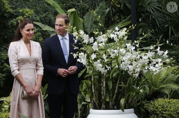 Le prince William et son épouse la princesse Catherine découvre l'orchidée baptisée en hommage à Lady Diana, dans le jardin botanique de Singapour où le couple princier effectue un voyage officiel au nom de la reine Elizabeth II, le 11 septembre 2012