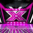  X Factor  (version USA), tous les mercredis et jeudis sur la Fox.