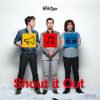 Les Hanson ont sorti en 2010/2011 leur cinquième album, Shout It Out.