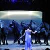 Les chevaux du spectacle Ellipse face à une danseuse au Gala d'ouverture du Cirque national Alexis Gruss à Paris le 29 Octobre 2012.