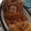 Camden, bébé de Kristin Cavallari et Jay Cutler, en ours pour Halloween le 31 octobre 2012, en l'honneur de son papa, quarterback des Bears de Chicago.