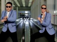 Gangnam Style et Call Me Maybe : Deux phénomènes, des milliers de parodies...