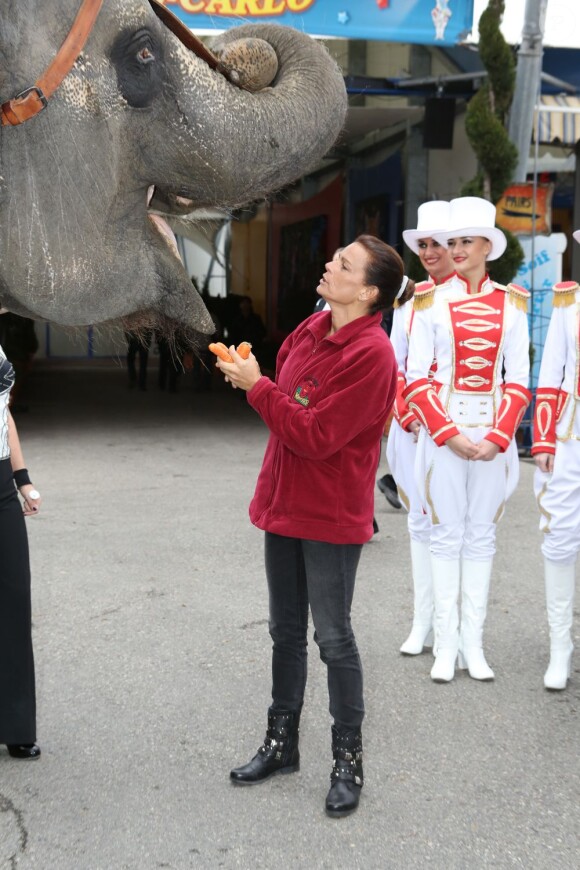 La princesse Stéphanie de Monaco posant pour le lancement de la 37e édition du Festival international du cirque de Monte-Carlo, à Monaco le 15 janvier 2013.