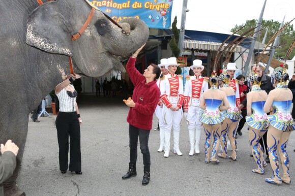 La princesse Stéphanie de Monaco posant pour le lancement de la 37e édition du Festival international du cirque de Monte-Carlo, à Monaco le 15 janvier 2013.