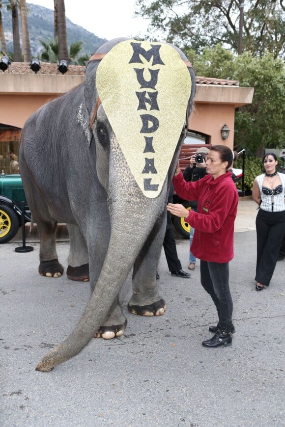 La princesse Stéphanie de Monaco posant pour le lancement de la 37e édition du Festival international du cirque de Monte-Carlo, à Monaco le 15 janvier 2013.