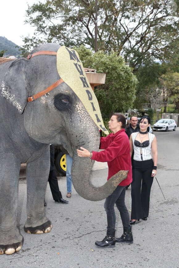 La princesse Stéphanie de Monaco posant pour le lancement de la 37e édition du Festival international du cirque de Monte-Carlo, à Monaco le 15 janvier 2013.