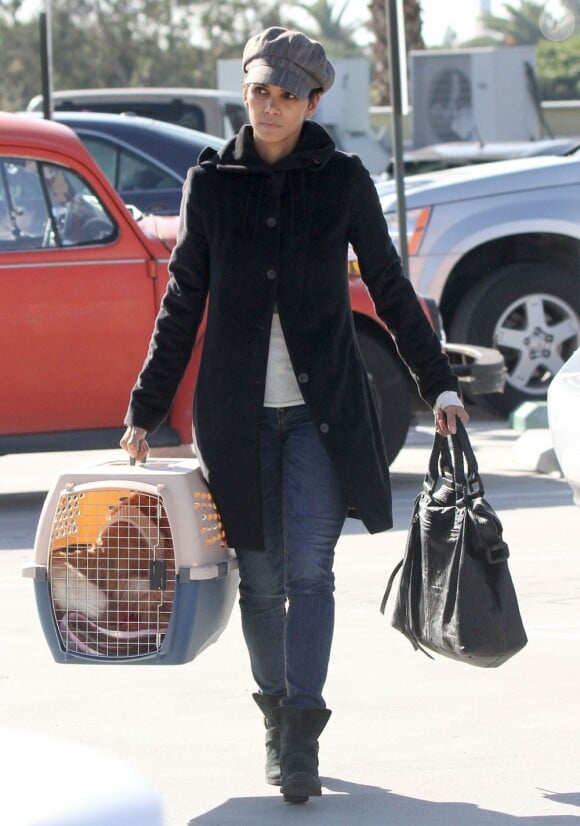 Halle Berry emmène son chat chez le vétérinaire à Culver City, le 30 janvier 2013.