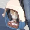 Halle Berry emmène son chat chez le vétérinaire à Culver City, le 30 janvier 2013.