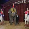 Pauline Ducruet juchée sur un éléphant au lancement de la 2e édition du New Generation, un festival de cirque consacré aux jeunes talents, à Monaco, le 31 janvier 2013.