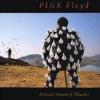 Delicate Sound of Thunder de Pink Floyd (1988), une pochette signée Storm Thorgerson, grand collaborateur de Pink Floyd et ami de David Gilmour décédé en avril 2013