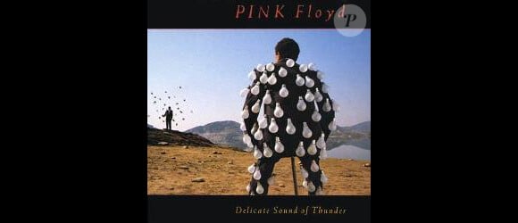 Delicate Sound of Thunder de Pink Floyd (1988), une pochette signée Storm Thorgerson, grand collaborateur de Pink Floyd et ami de David Gilmour décédé en avril 2013