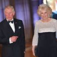  Le prince Charles et Camilla Parker Bowles - Dîner d'adieu de la reine Beatrix des Pays-Bas au Rijksmuseum à Amsterdam, le 29 avril 2013. 