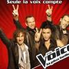 The Voice 2 : quelles stars viendront chanter pour la finale ?