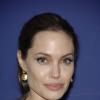 Angelina Jolie sur le tapis rouge de la 27e cérémonie des 'American Society of Cinematographers Awards' à Los Angeles, le 10 février 2013.
