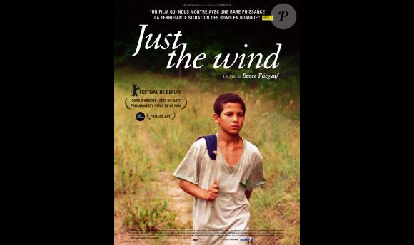 Affiche officielle du film Just The Wind.