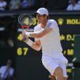 Andy Murray lors de sa victoire en finale de Wimbledon face à Novak Djokovic (6-4, 7-5, 6-4), au All England Lawn Tennis and Croquet Club de Londres le 7 juillet 2013