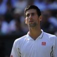 Novak Djokovic lors de sa défaite en finale de Wimbledon face à Andy Murray (6-4, 7-5, 6-4), au All England Lawn Tennis and Croquet Club de Londres le 7 juillet 2013