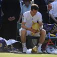 Andy Murray lors de sa victoire en finale de Wimbledon face à Novak Djokovic (6-4, 7-5, 6-4), au All England Lawn Tennis and Croquet Club de Londres le 7 juillet 2013