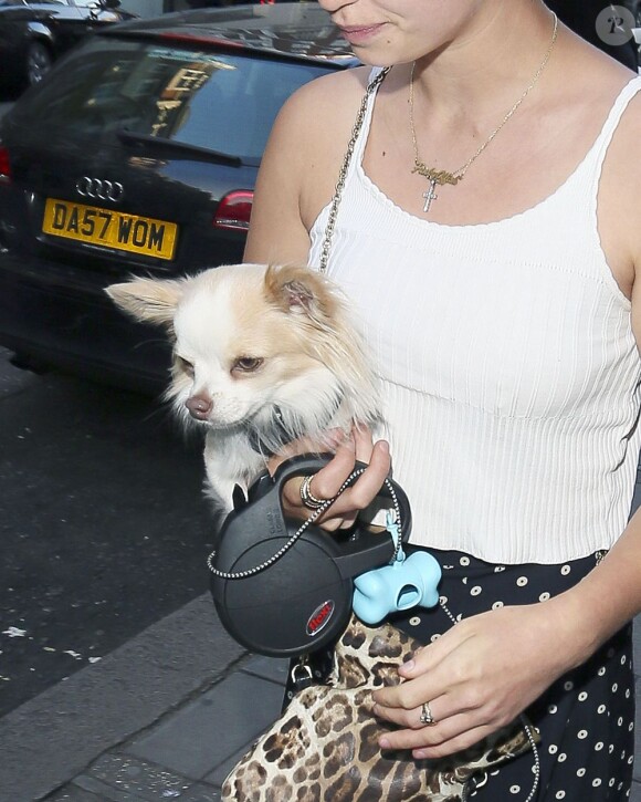 Pixie Geldof se promène avec son chien à Londres, le 8 juillet 2013.