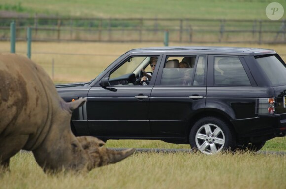 À bord d'un 4x4 Range Rover, Gwen Stefani et sa famille approchent les animaux du Woburn Safari Park. Woburn, le 31 juillet 2013.