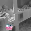 Julien (SS6) parle de Vincent face aux habitants de la chambre bleue, le 30 août 2013 sans Secret Story 7.
