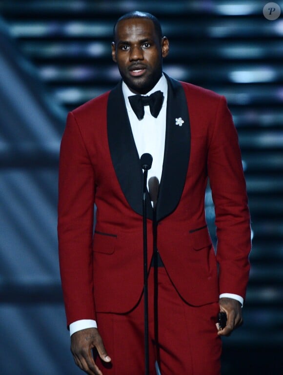 LeBron James à Los Angeles, le 17 juillet 2013.